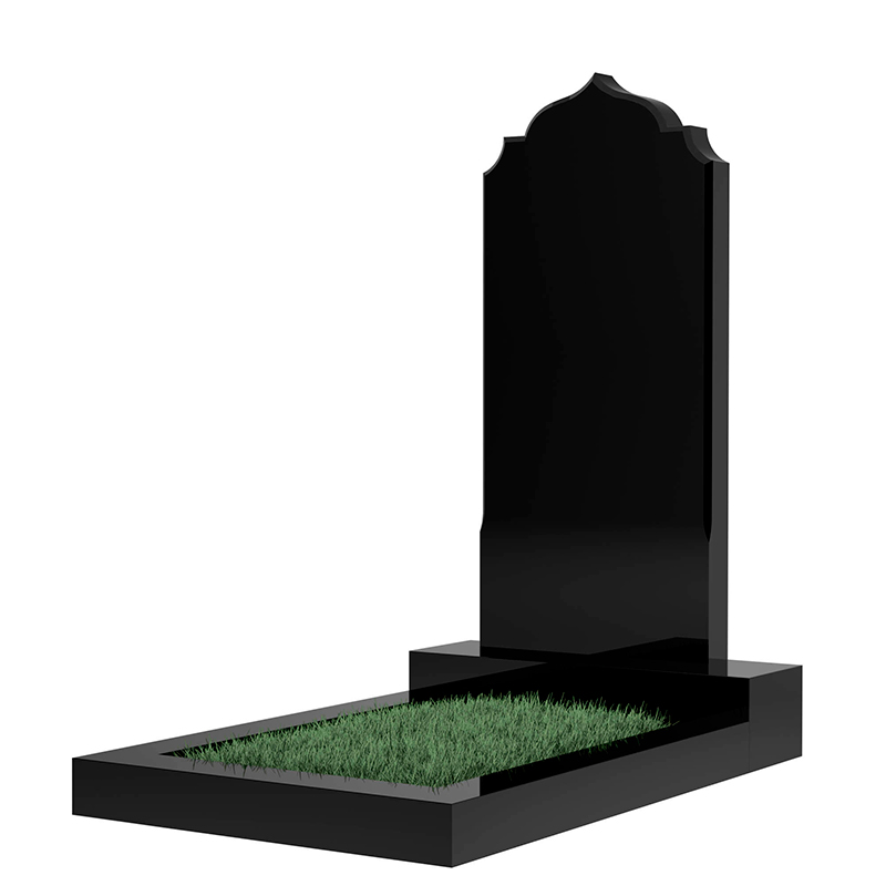 Памятник MS190